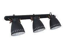 Светильник настенный Camelion New York WML-428-3 С02 3х E27 40Вт 230В Черный картинка 